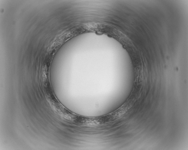 X0000052650702200507221842