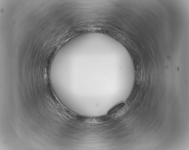 X0000052650704200507221842