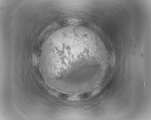 X0000052650705200507221842