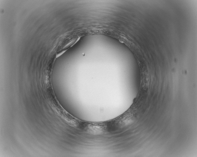 X0000052650706200507221842