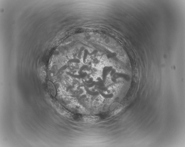 X0000052650707200507221842