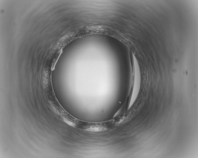 X0000052650708200507221842