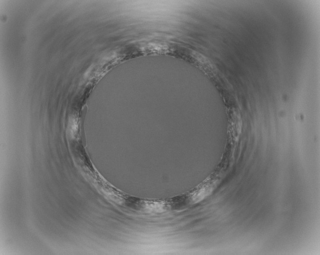 X0000052650709200507221842