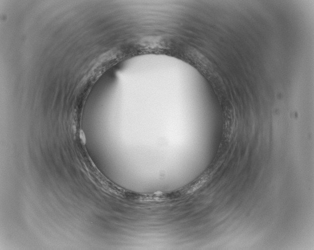 X0000052650710200507221842