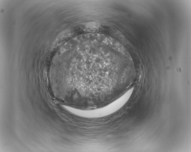 X0000052650711200507221842