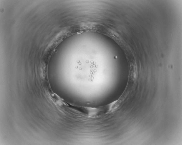 X0000052650712200507221841