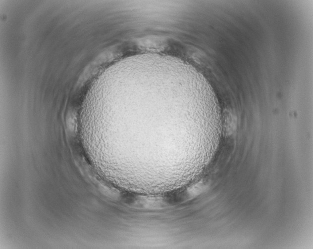 X0000052650713200507221841