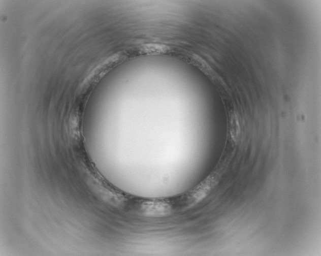 X0000052650714200507221841