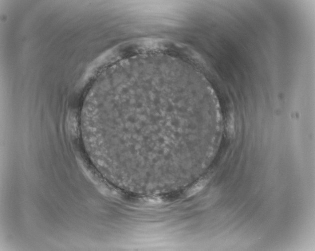 X0000052650715200507221841