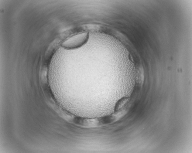 X0000052650717200507221841