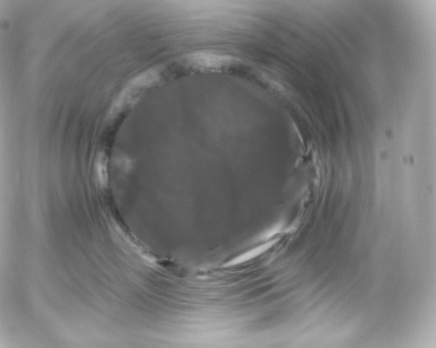 X0000052650718200507221841