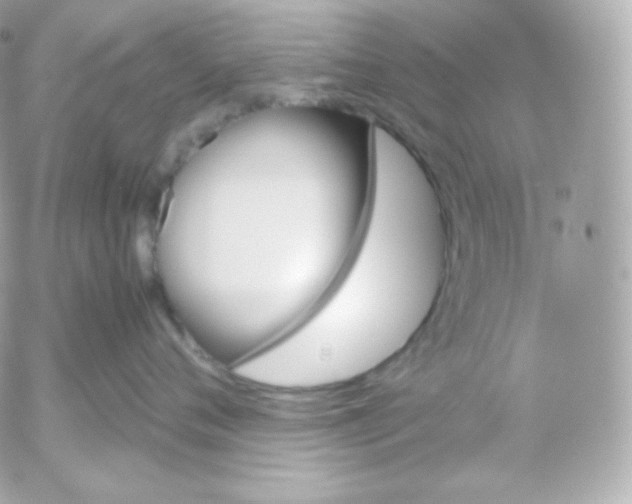 X0000052650720200507221841