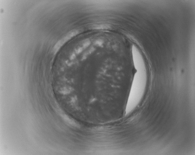 X0000052650721200507221841