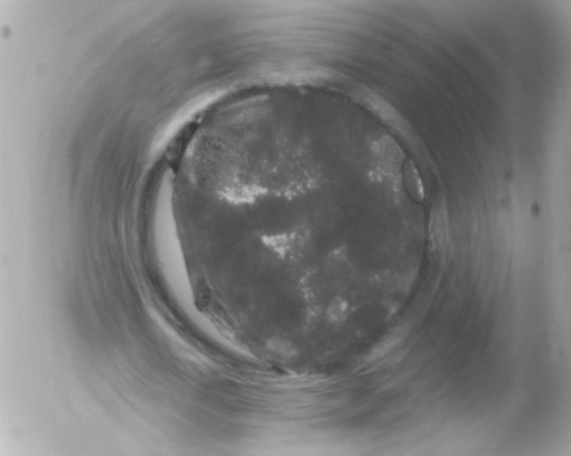 X0000052650722200507221841