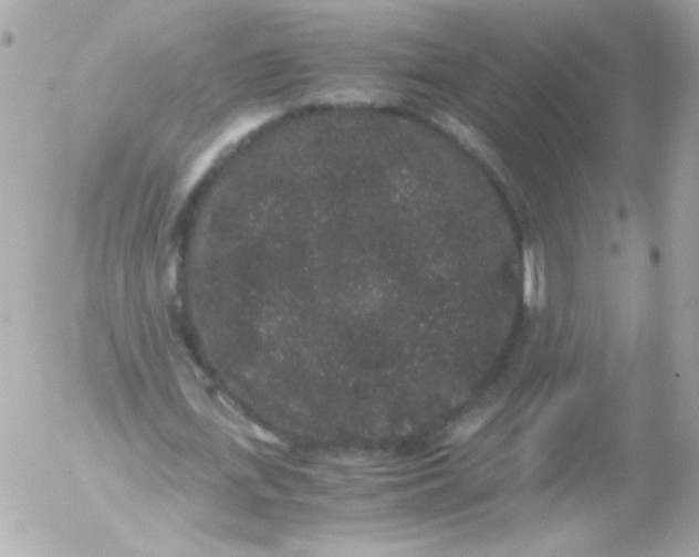 X0000052650723200507221841