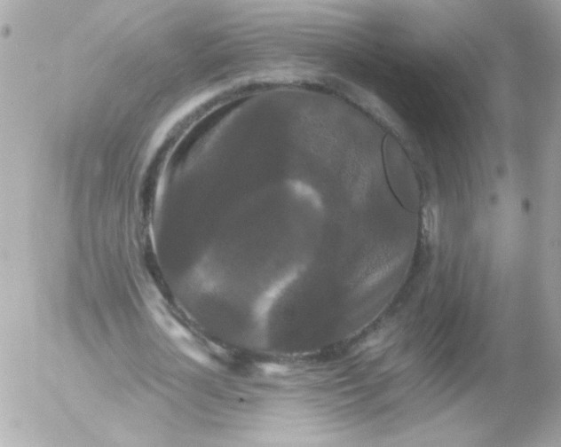 X0000052650724200507221841