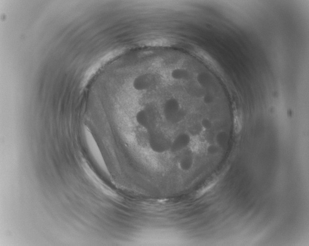 X0000052650725200507221841