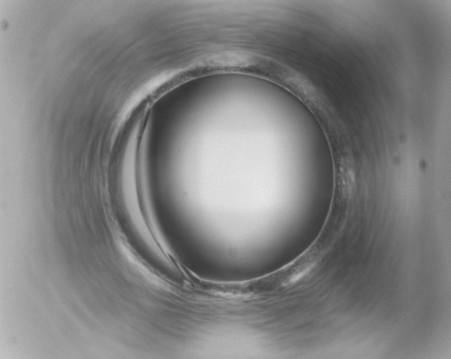 X0000052650726200507221841