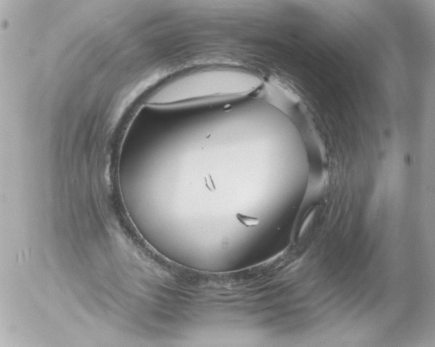 X0000052650727200507221841