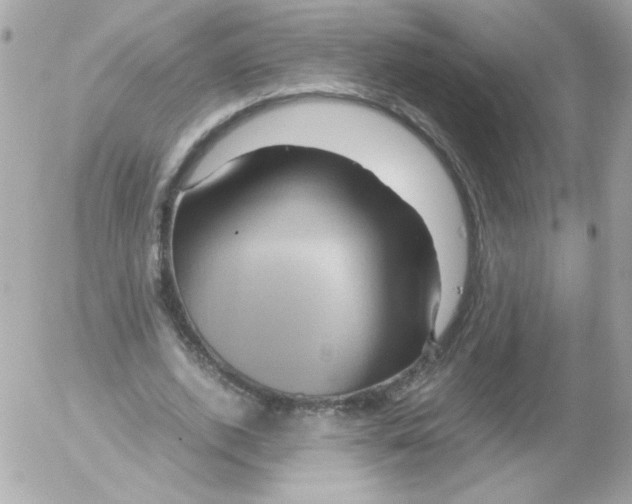 X0000052650728200507221841