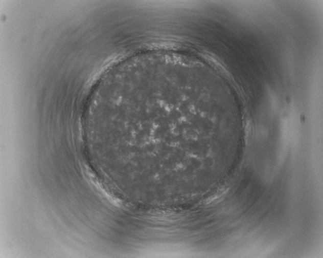 X0000052650729200507221841