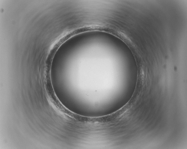 X0000052650730200507221841