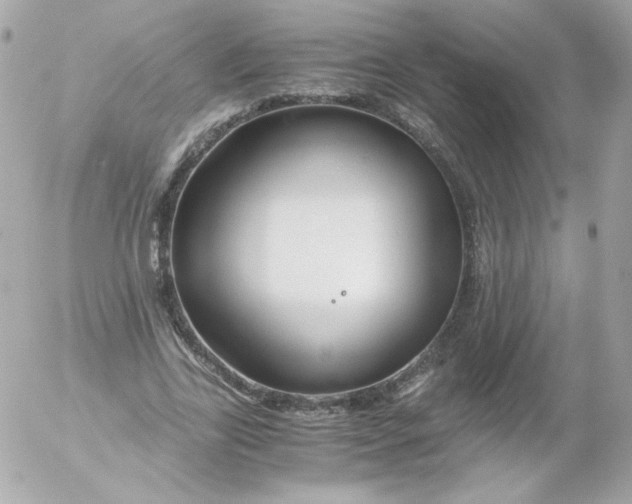 X0000052650731200507221841