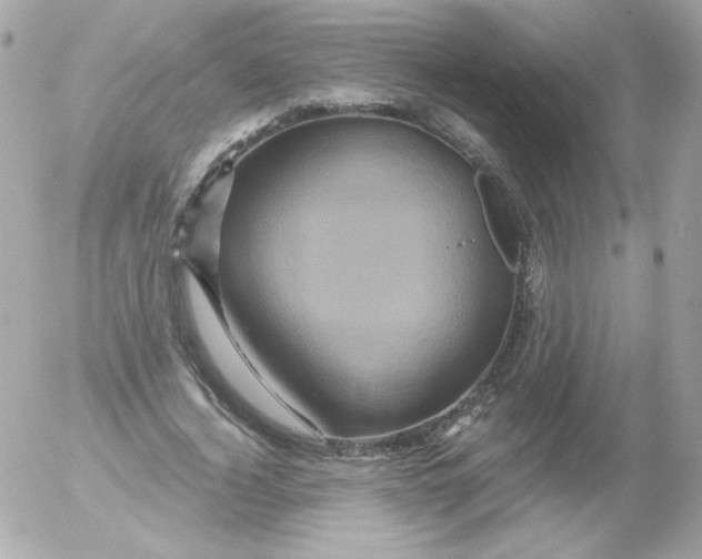 X0000052650732200507221841