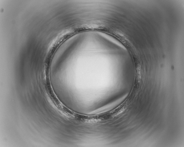 X0000052650734200507221841