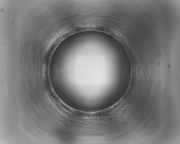 X0000052650735200507221841