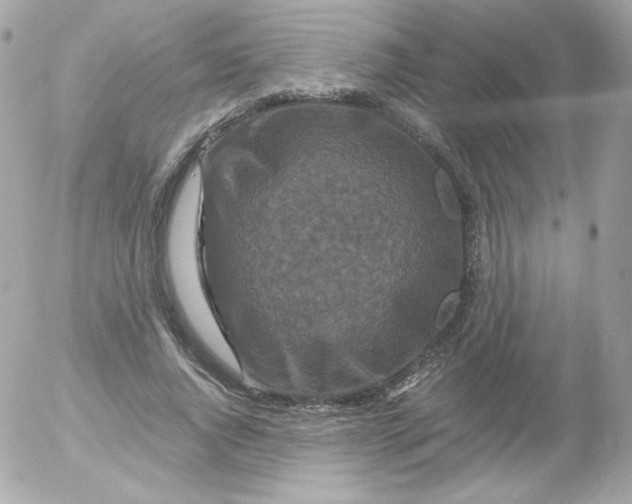 X0000052650736200507221841