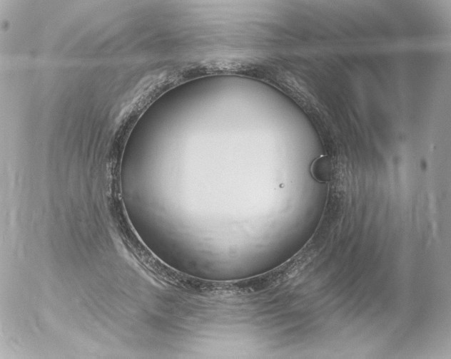 X0000052650738200507221841