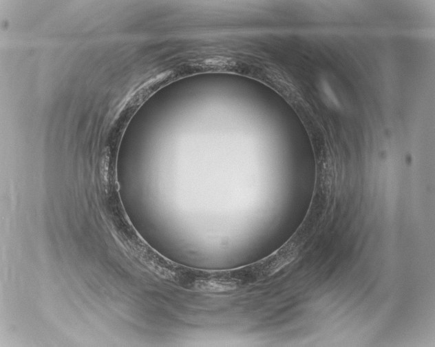 X0000052650739200507221841