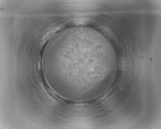 X0000052650740200507221841