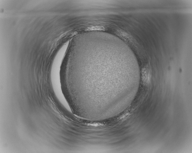 X0000052650741200507221841