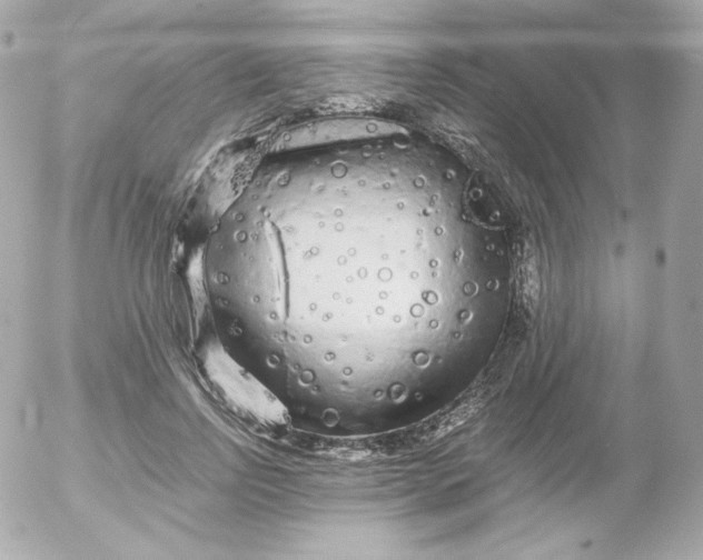 X0000052650742200507221841