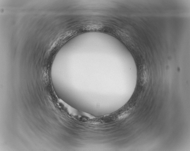 X0000052650743200507221841