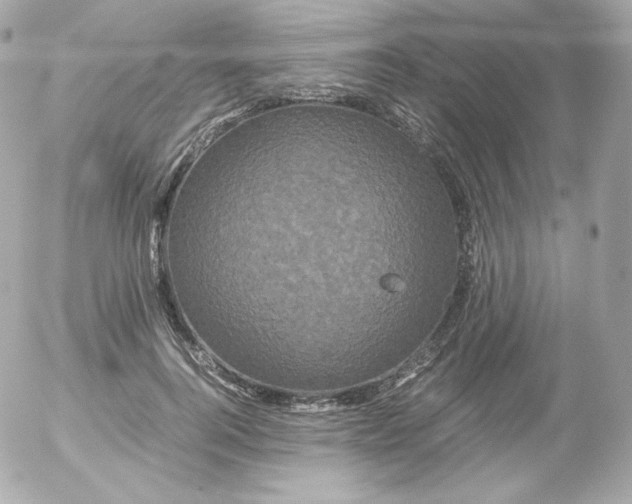 X0000052650744200507221841