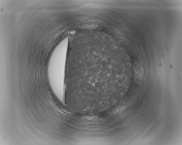 X0000052650745200507221841