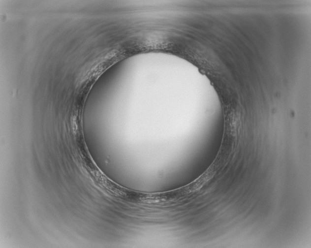 X0000052650746200507221841