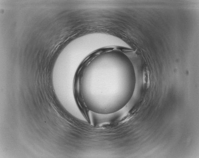 X0000052650747200507221841