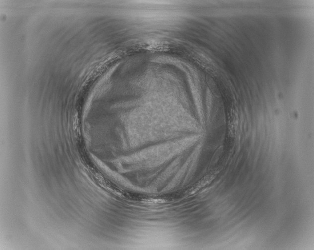 X0000052650748200507221841