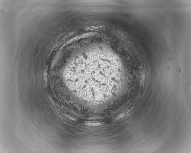 X0000052650749200507221841