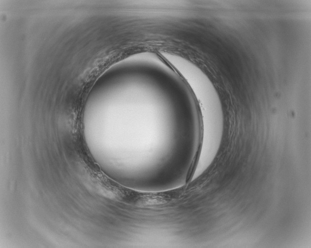 X0000052650750200507221841