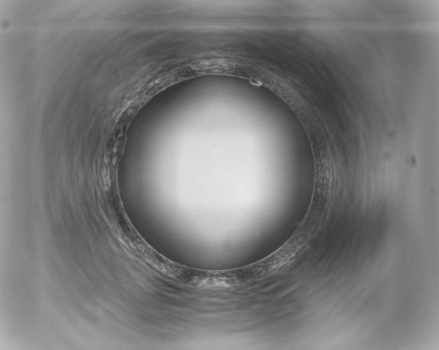 X0000052650751200507221841