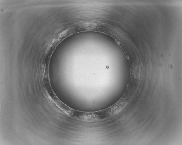 X0000052650752200507221841