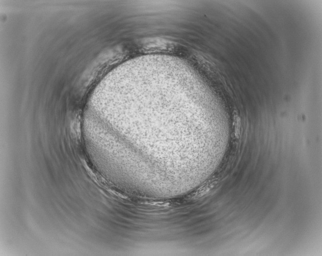 X0000052650753200507221841