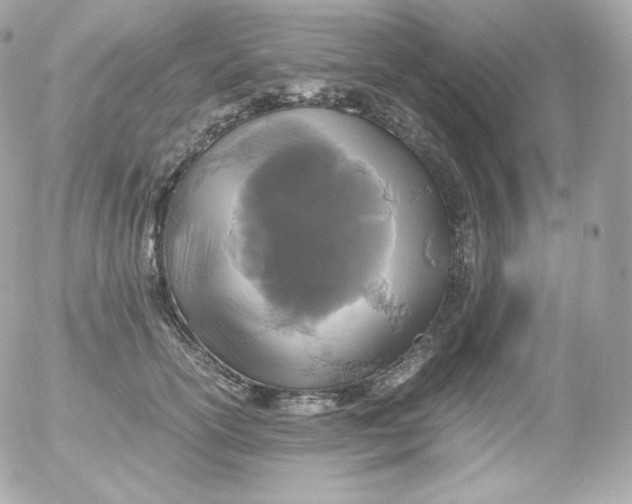 X0000052650754200507221841