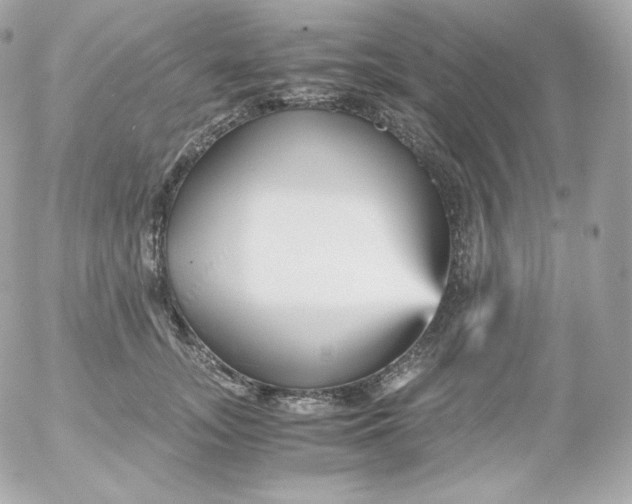 X0000052650755200507221841