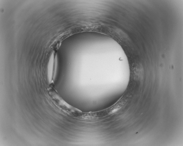 X0000052650756200507221841